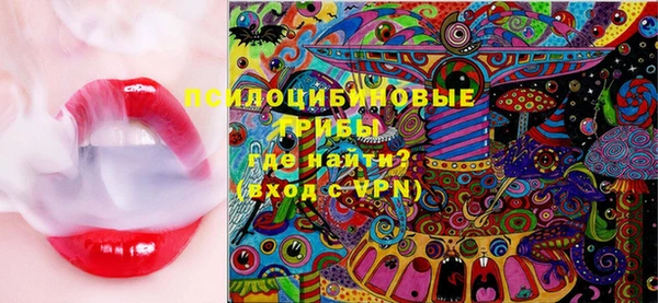 эйфоретик Аркадак