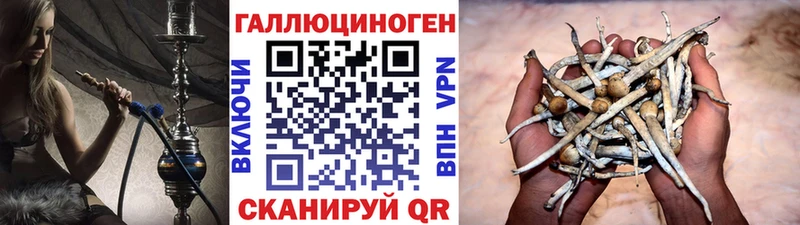 Галлюциногенные грибы Magic Shrooms  МЕГА ТОР  Нефтегорск 